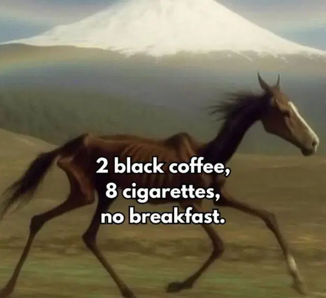 Дичка среда помоги мне а?