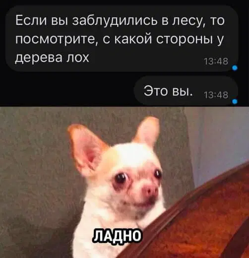 Дичка среда помоги мне а?