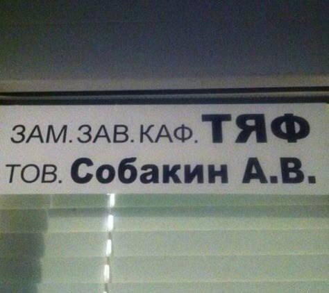 Среда и без дичи?
