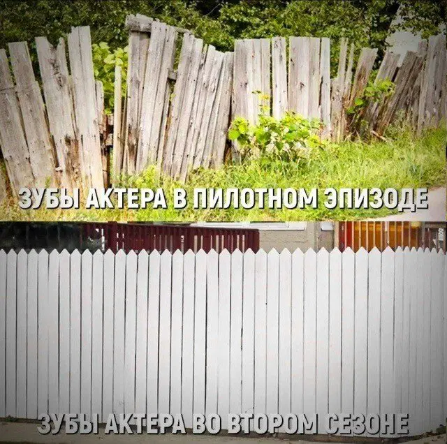 Среда и без дичи?