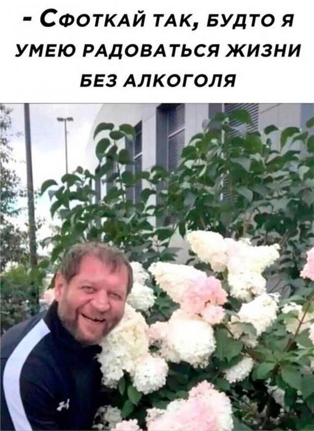 Среда и без дичи?