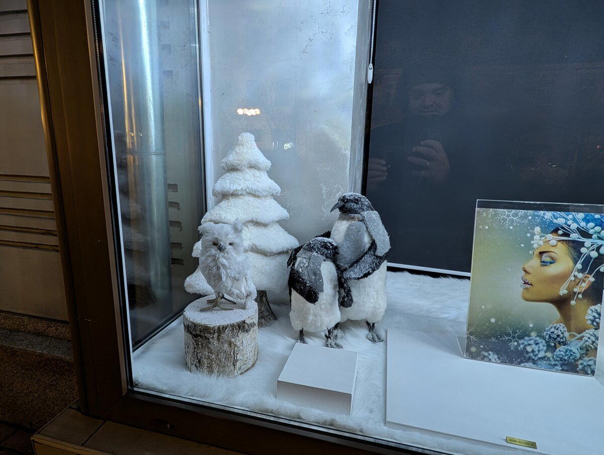 Милая витрина.