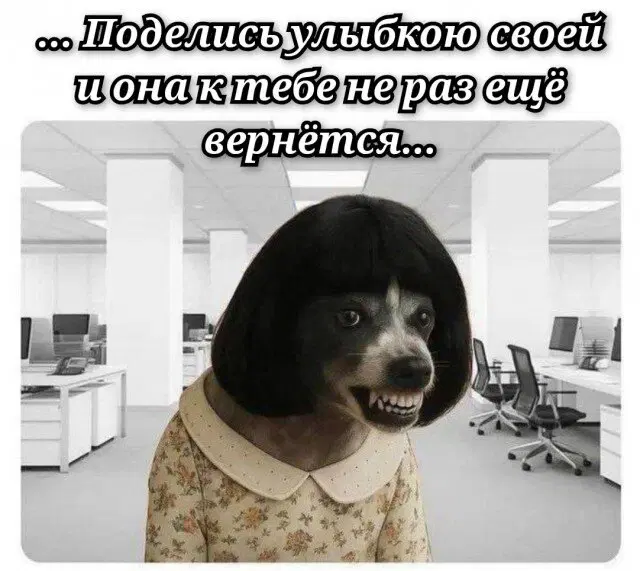 Дичко на четвертый день