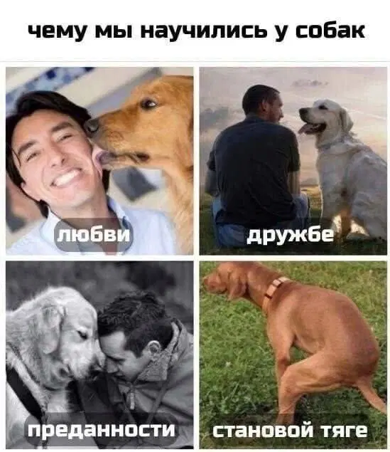 Дичко на четвертый день