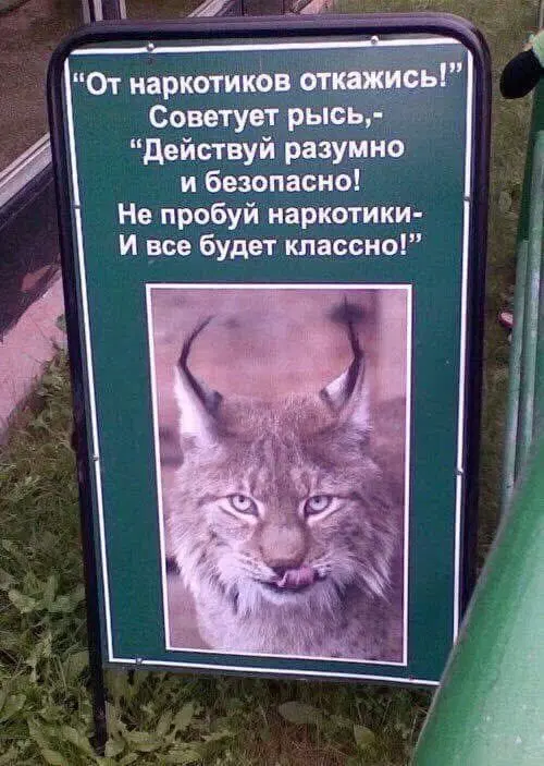 Дичко на четвертый день