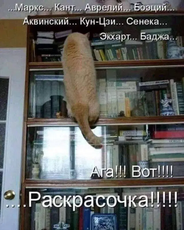 Дичко на четвертый день