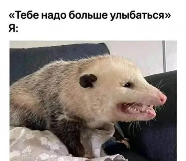 Дичко на четвертый день