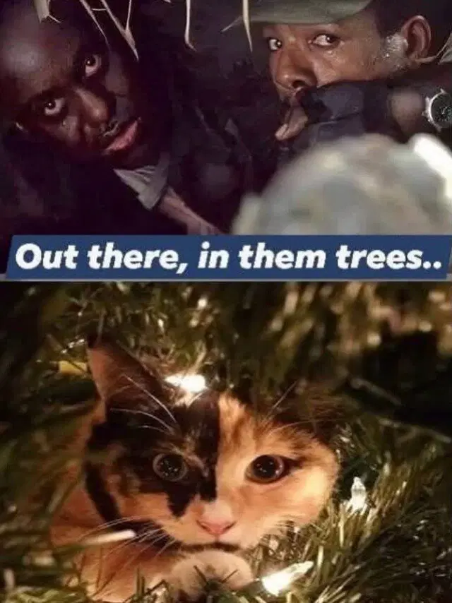 Дичко на четвертый день