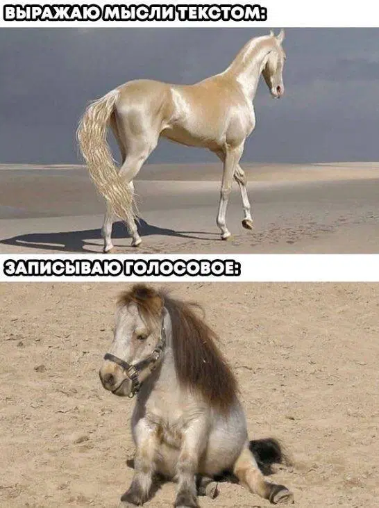 Дичко на четвертый день