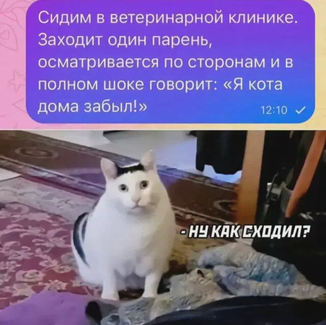 Дичко на четвертый день