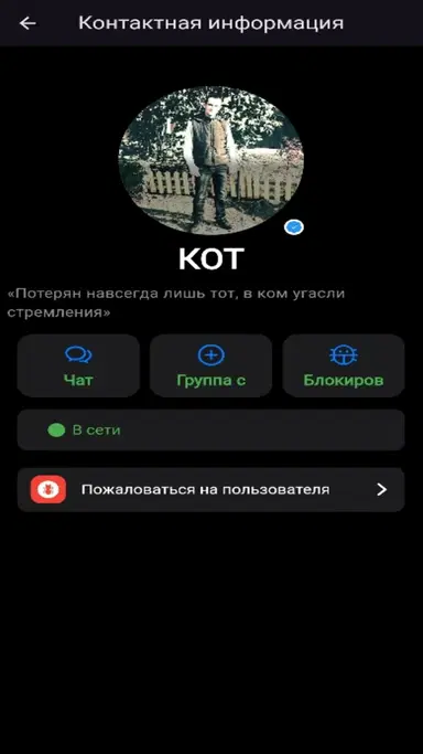 TAip мессенджер это точный аналог Вацап ( WhatsApp )