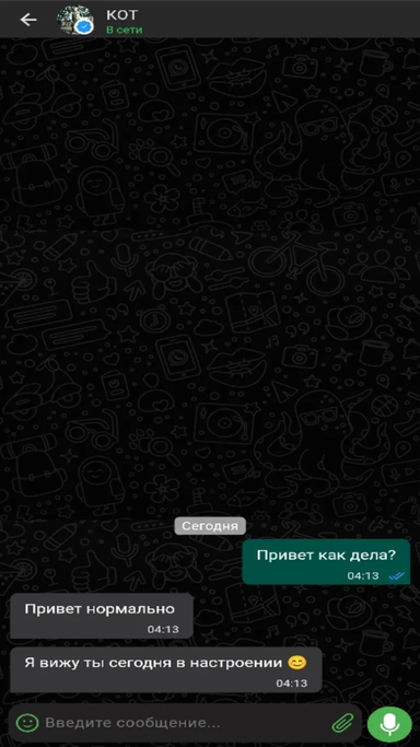 TAip мессенджер это точный аналог Вацап ( WhatsApp )