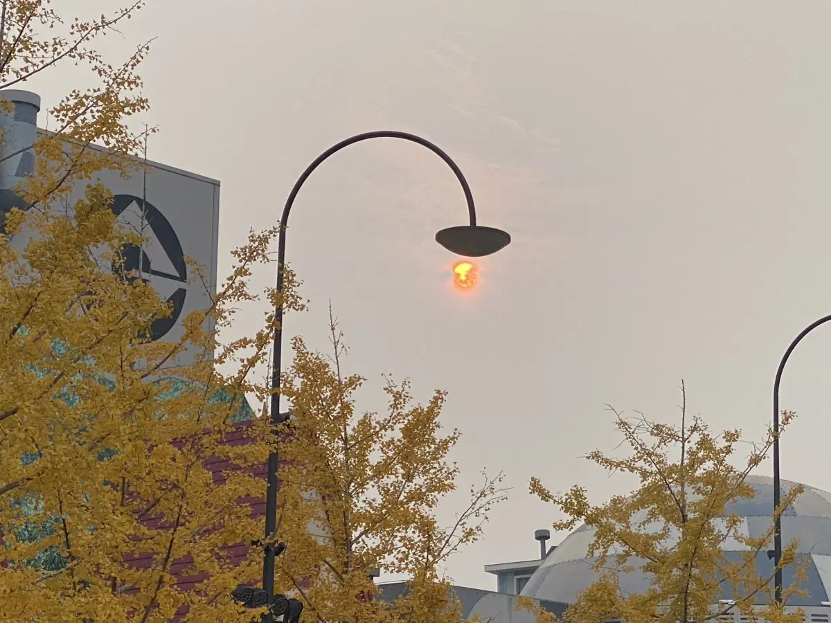 И солнце ... фонарь.