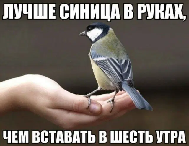 Уж пятница 💃 и дичи можно ко столу