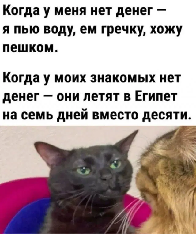 Уж пятница 💃 и дичи можно ко столу