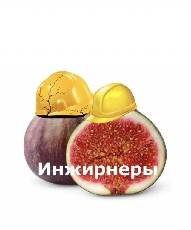 Уж пятница 💃 и дичи можно ко столу