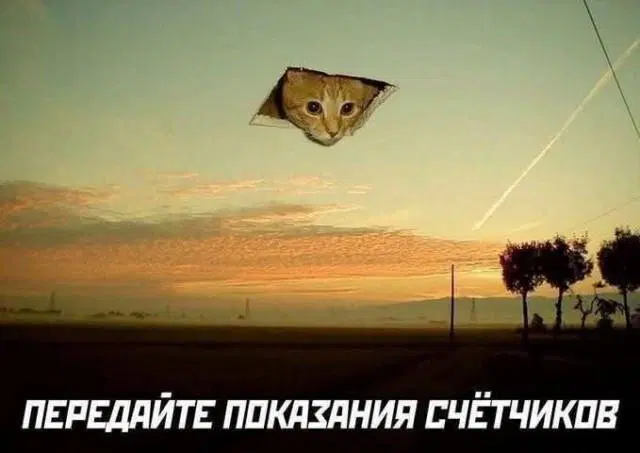 Уж пятница 💃 и дичи можно ко столу