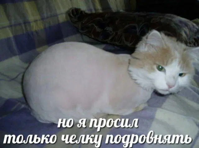 Уж пятница 💃 и дичи можно ко столу