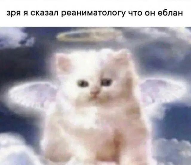 Уж пятница 💃 и дичи можно ко столу