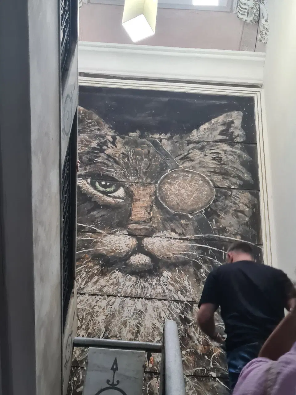 А я думал, Кот-пират.