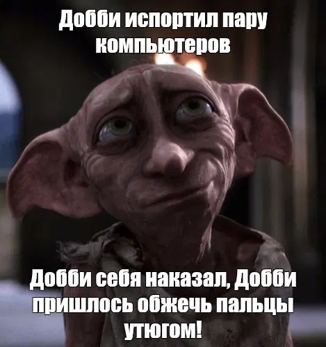 Добби и носки.