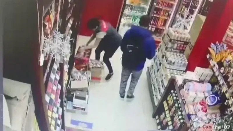 Один маленький зверёк и большая паника