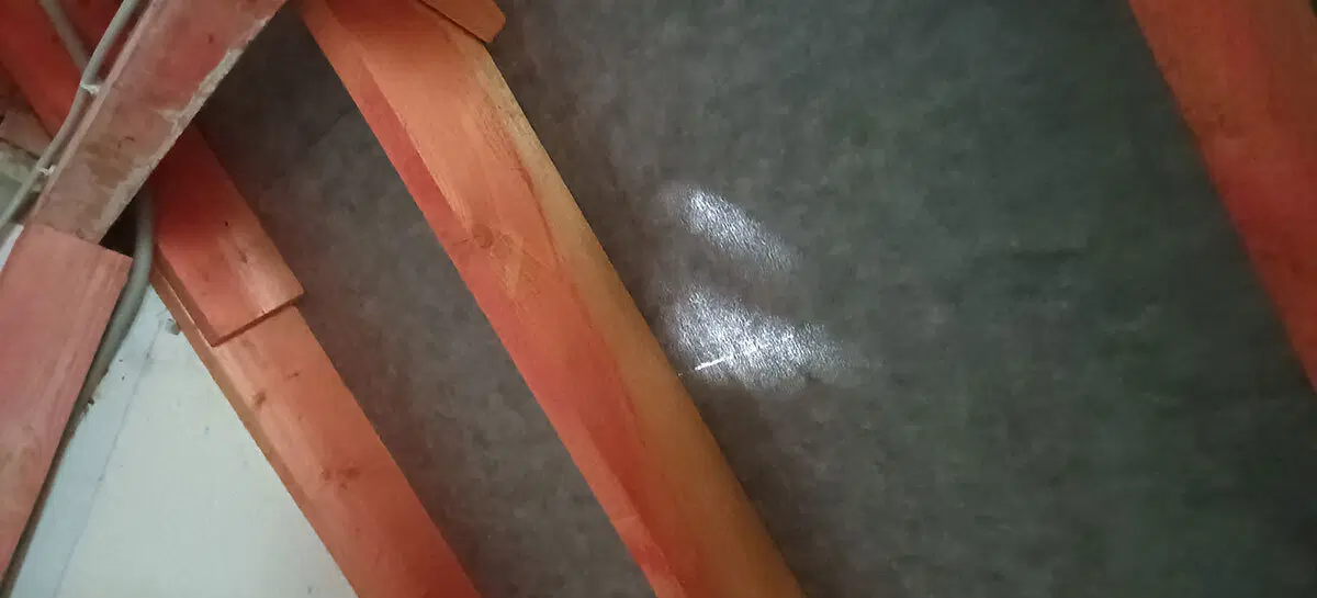 Богатые тоже плачут. И хотят впарить руины задорого. Или, как я не дал заказчикам купить поместье за 50 млн. рублей