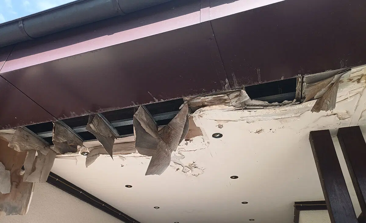 Богатые тоже плачут. И хотят впарить руины задорого. Или, как я не дал заказчикам купить поместье за 50 млн. рублей