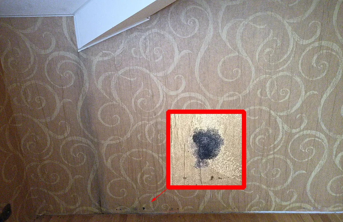 Богатые тоже плачут. И хотят впарить руины задорого. Или, как я не дал заказчикам купить поместье за 50 млн. рублей