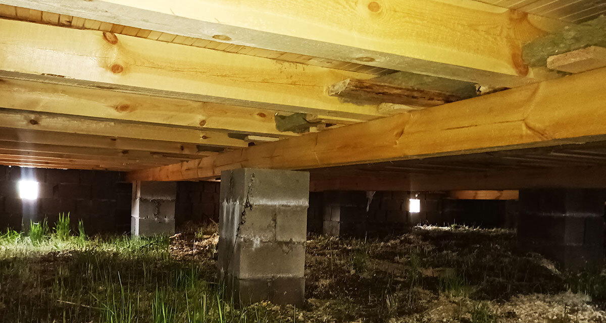 Эталонный щеледом. Брусовые дрова, которые впаривают дороже московской однушки