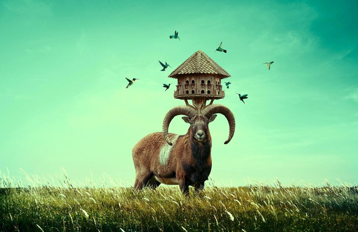 Как не потерять всё при покупке загородного дома. Чек-лист для начинающего домовладельца