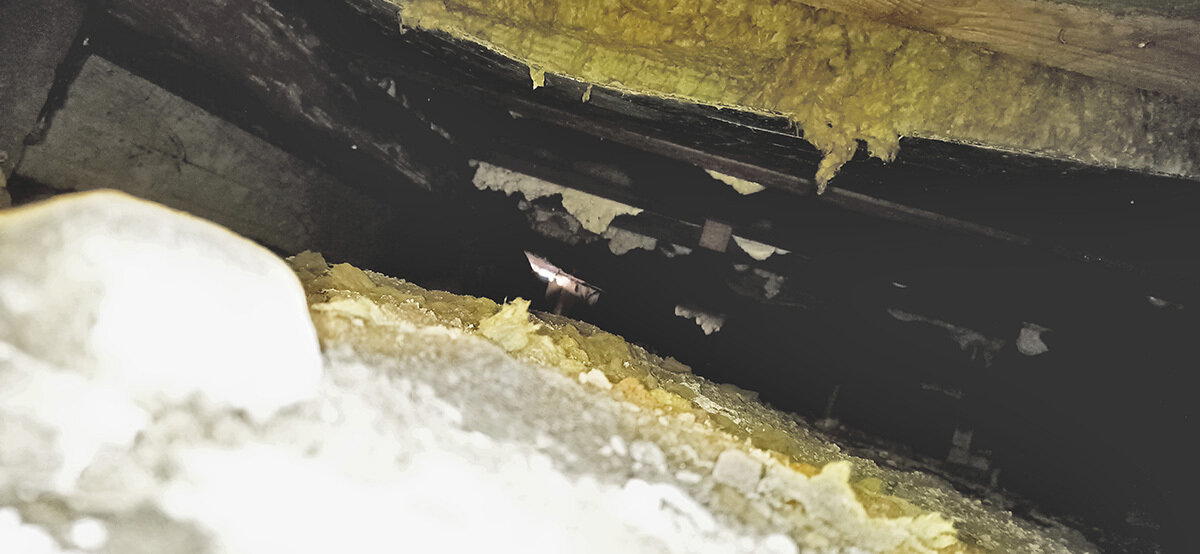 Зомби-дом в 5 минутах от метро. На 3 сотках. Зато в Москве!