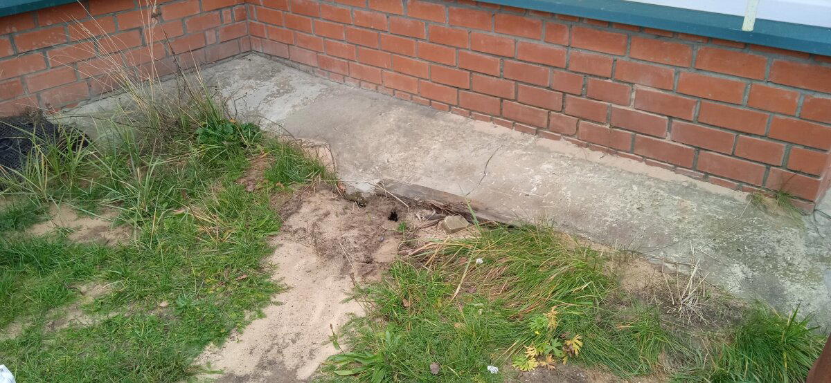 Дышащий дом с газовым отоплением и ледяными полами. Очередное обследование перед покупкой. Решили не брать