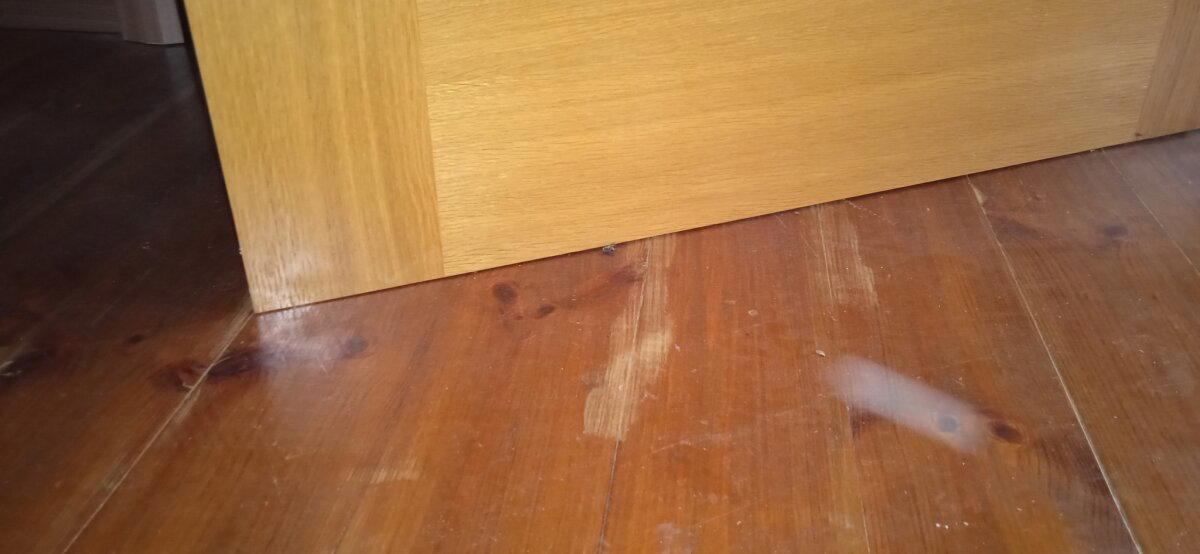 Щеледомный замок. Или, как мы осматривали очередное брусовое поделие, выдаваемое за жилой дом