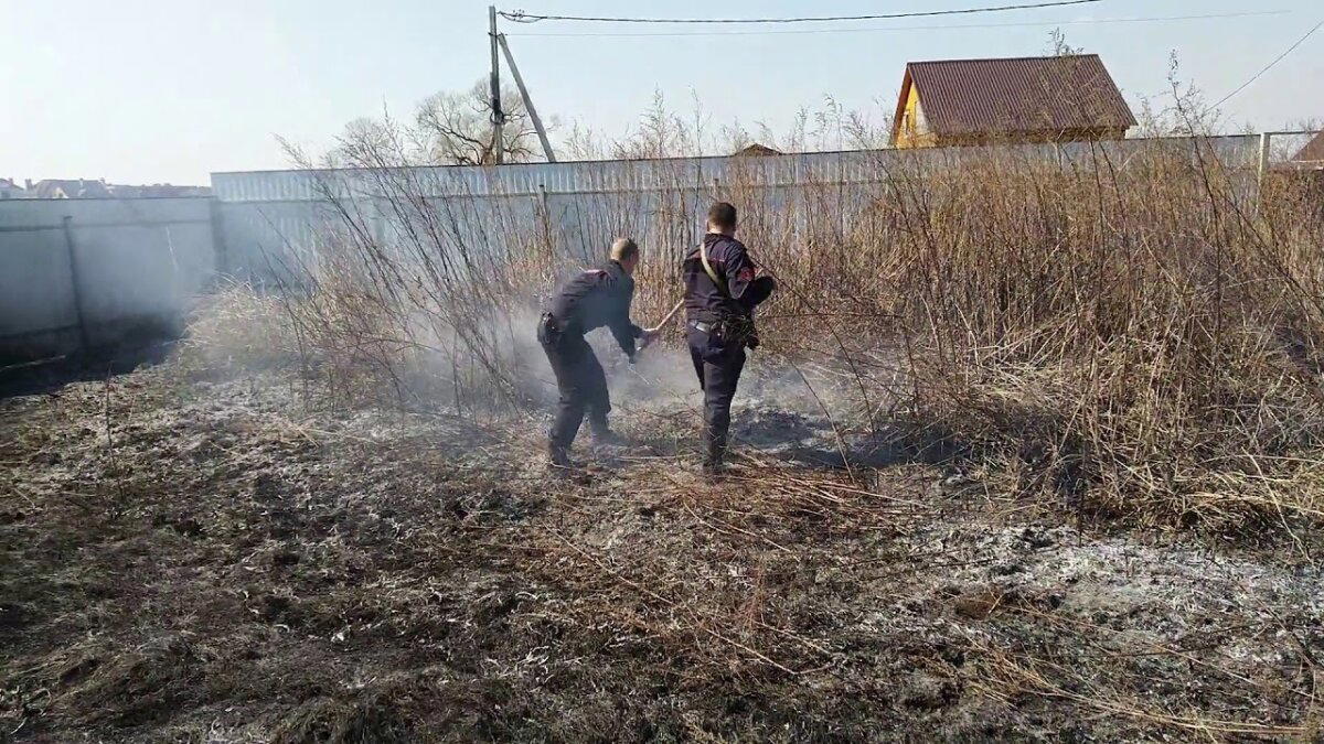 Ответ на пост «Пару слов о полиции!»