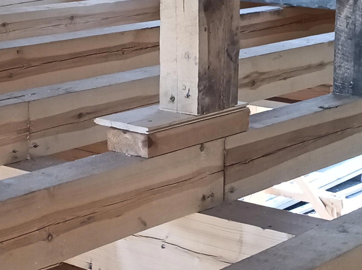 Подпятничек. Костяная нога щеледома.