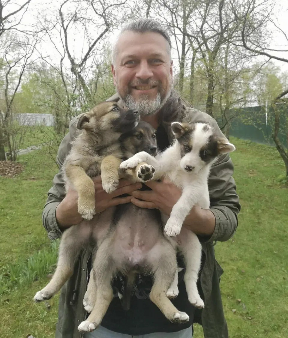 Ответ на пост «Подросток притащил домой беременную мадам»