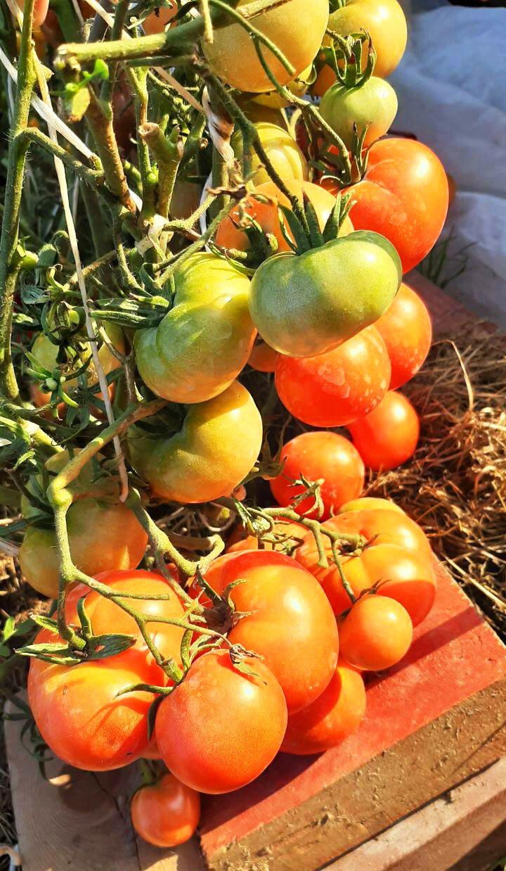 Говорит начальник технического отдела Сбербанка!