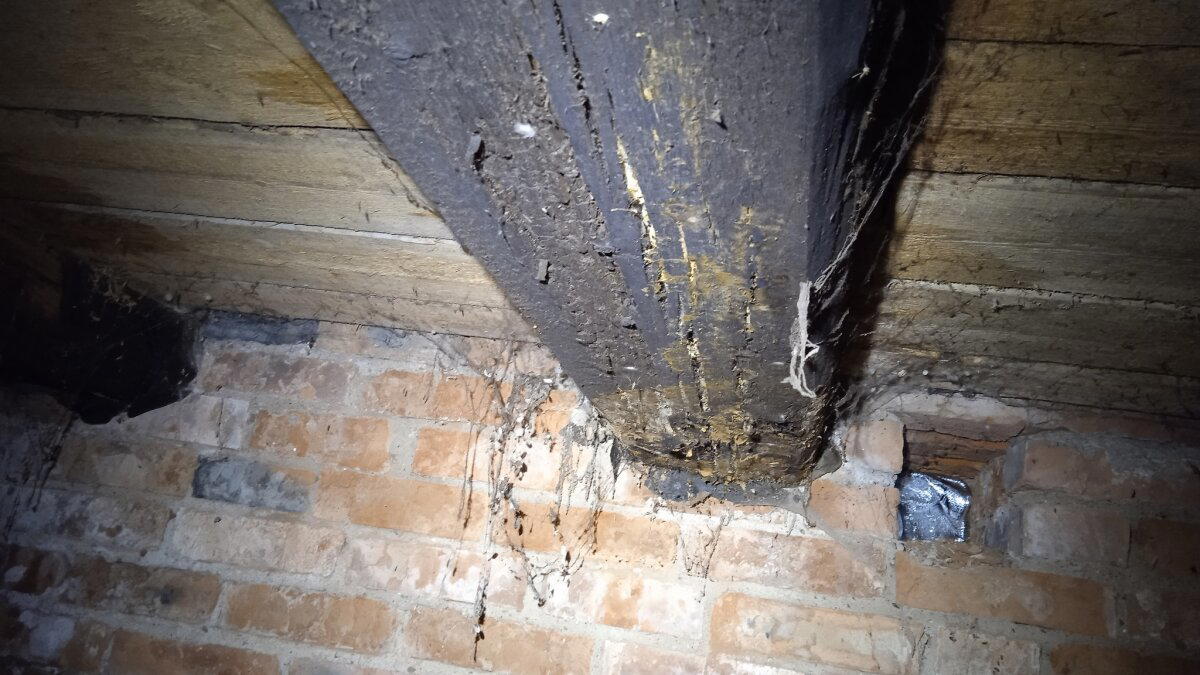 Дом из кирпича - самый лучший! - кричали они