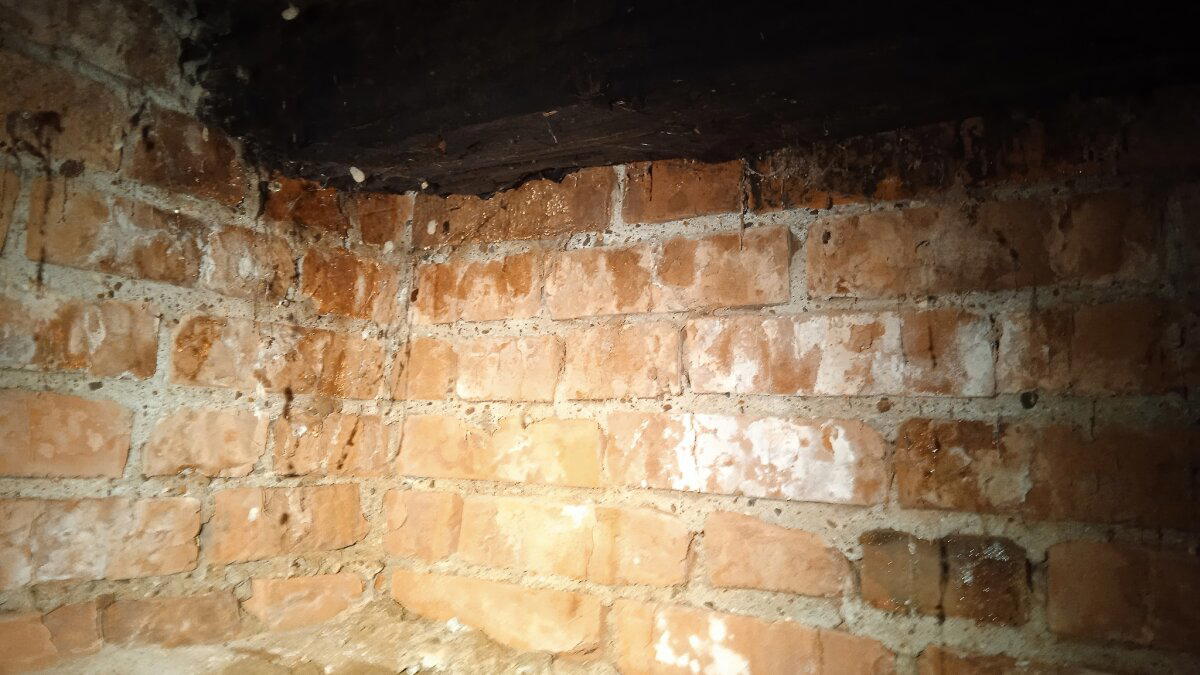 Дом из кирпича - самый лучший! - кричали они