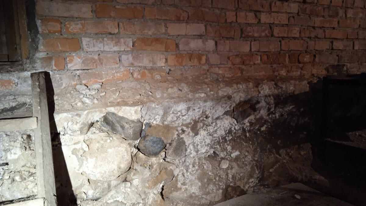 Дом из кирпича - самый лучший! - кричали они