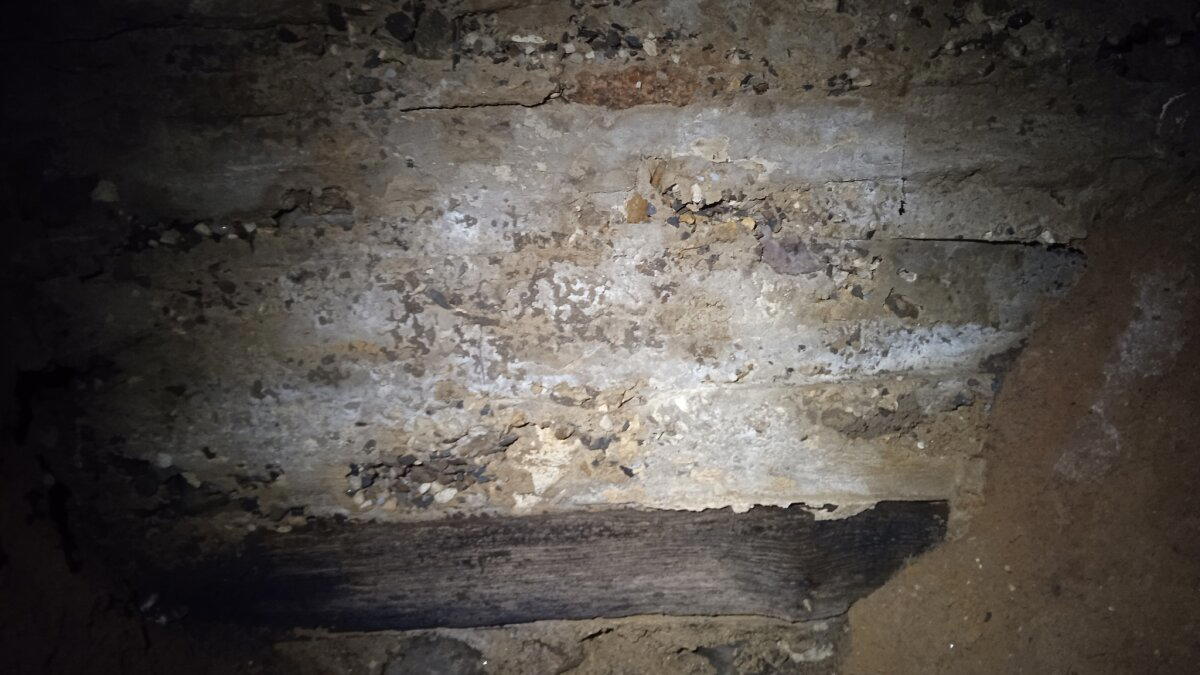 Дом из кирпича - самый лучший! - кричали они