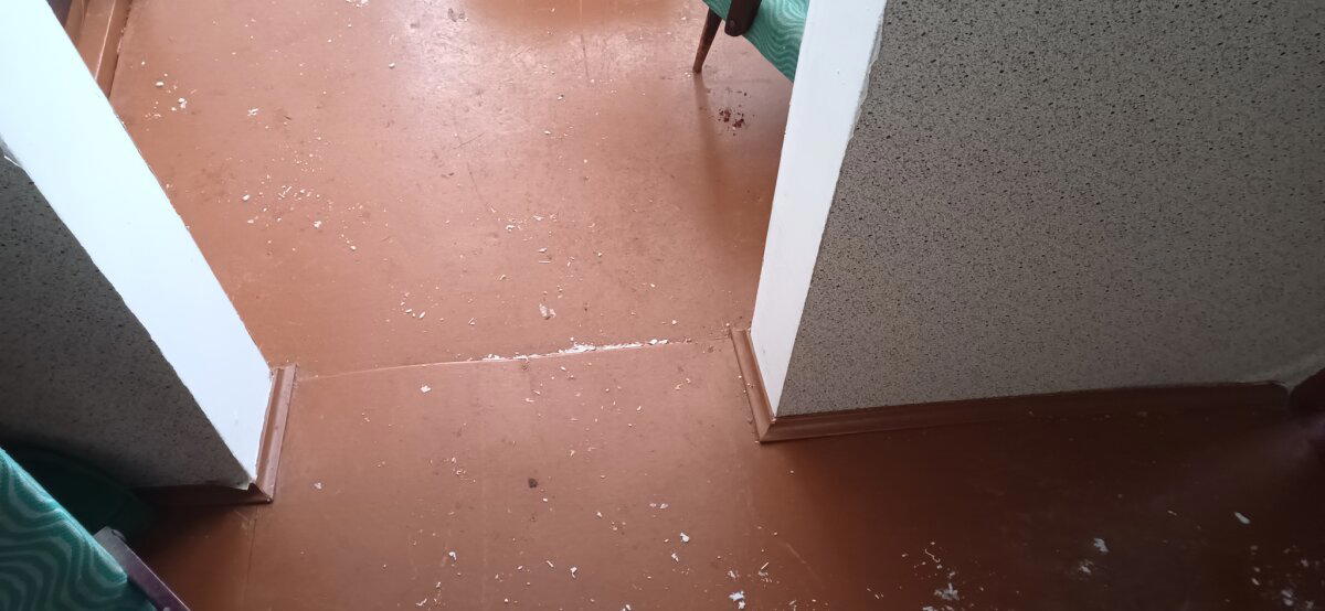 Тёплый дом из дачного домика не удался