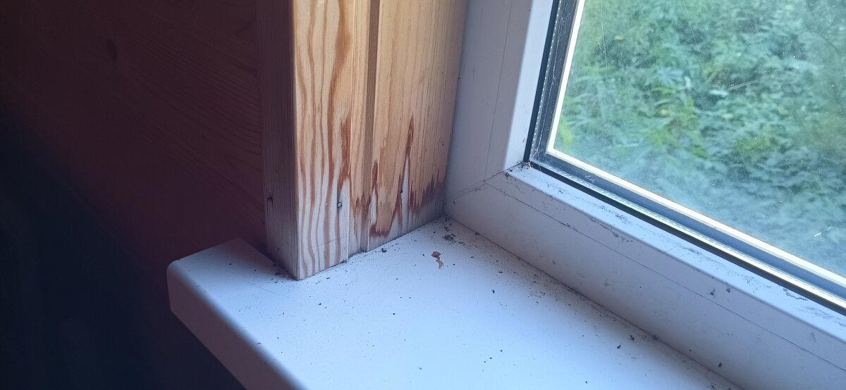 Забил на вентзазор - это позор! Осмотр каркасника, строители которого не оставили ему шансов