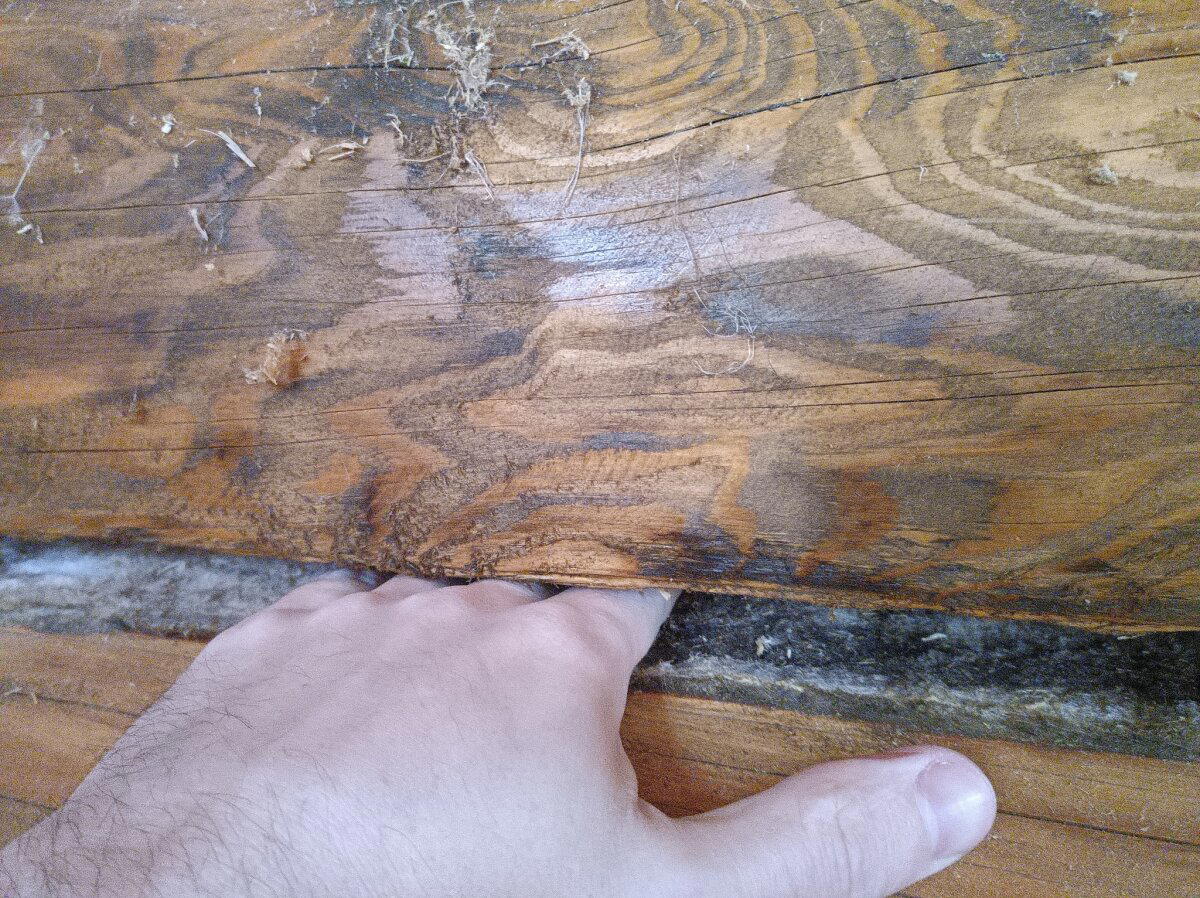 Щеледом в квадрате наносит двойной удар! Обследуем срубобрусовый недострой перед покупкой