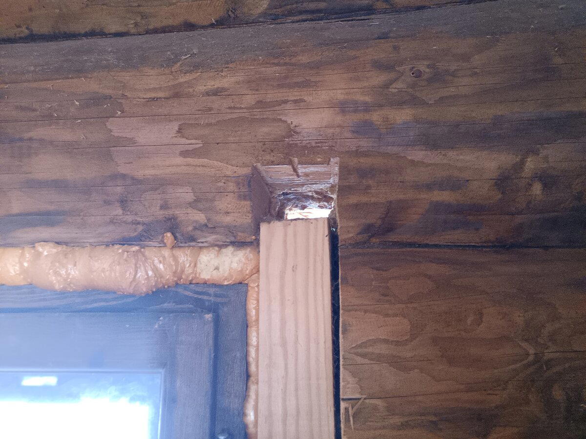 Щеледом в квадрате наносит двойной удар! Обследуем срубобрусовый недострой перед покупкой