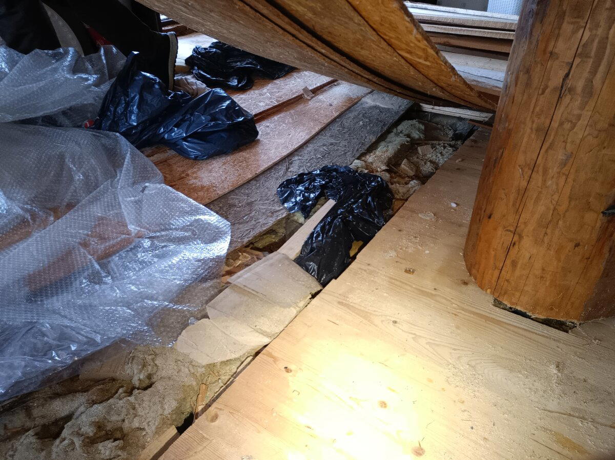 Щеледом в квадрате наносит двойной удар! Обследуем срубобрусовый недострой перед покупкой