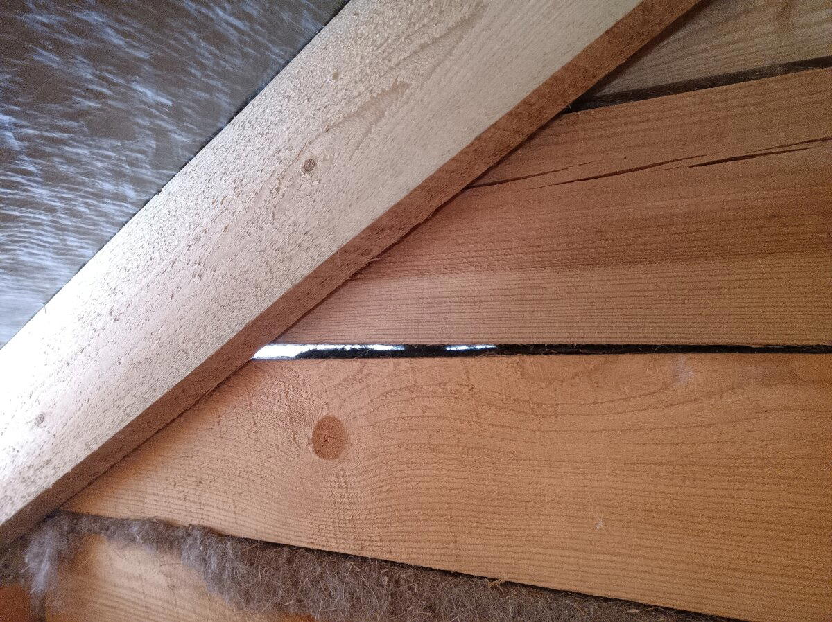 Щеледом в квадрате наносит двойной удар! Обследуем срубобрусовый недострой перед покупкой