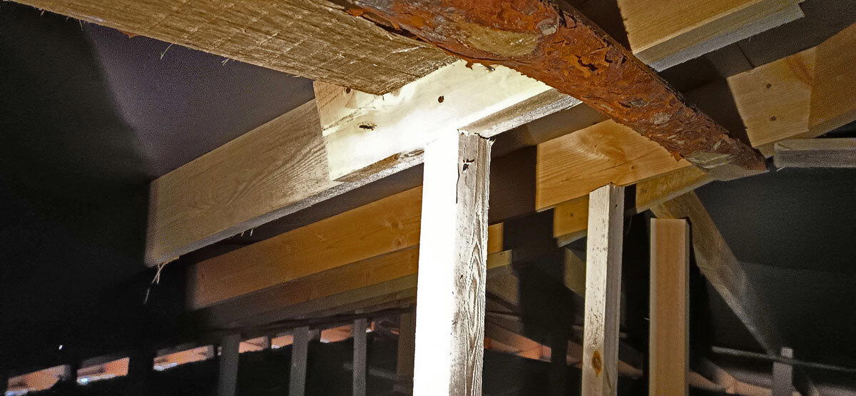 Не хватило 5 сантиметров, но у бруса был шанс. Новые приключения щеледомостроителей