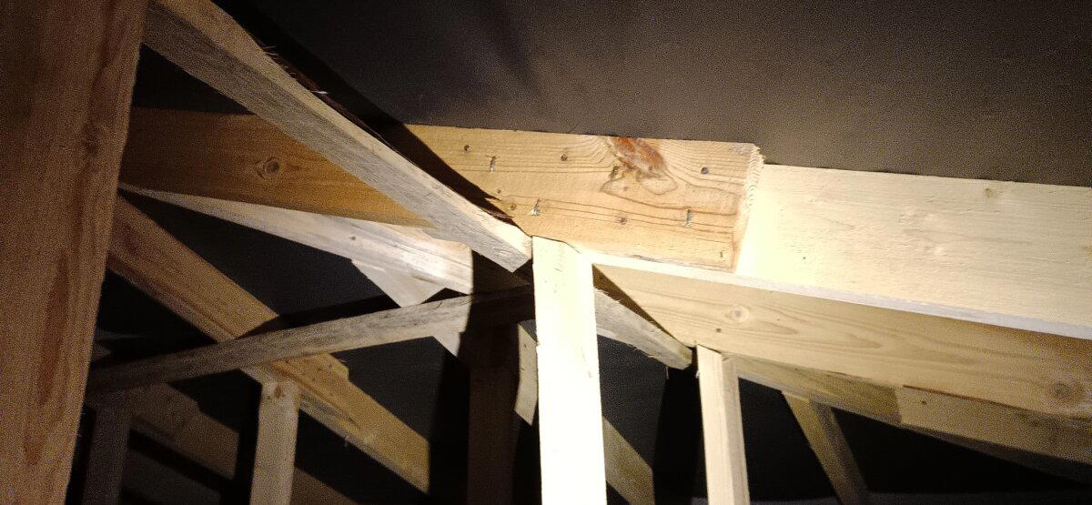 Не хватило 5 сантиметров, но у бруса был шанс. Новые приключения щеледомостроителей